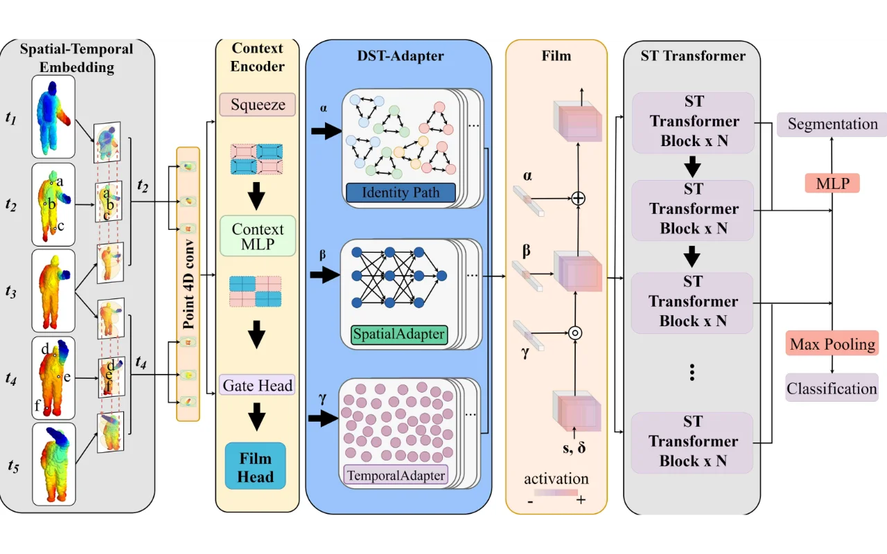 DSTA4D: Content-aware Adaptive Decoupling for 4D Point Cloud Video Understanding